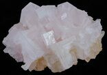 Pink Halite Crystal Plate - Trona, California #61070-2